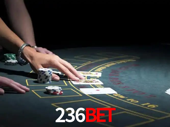 236bet Fortaleza - Reviews